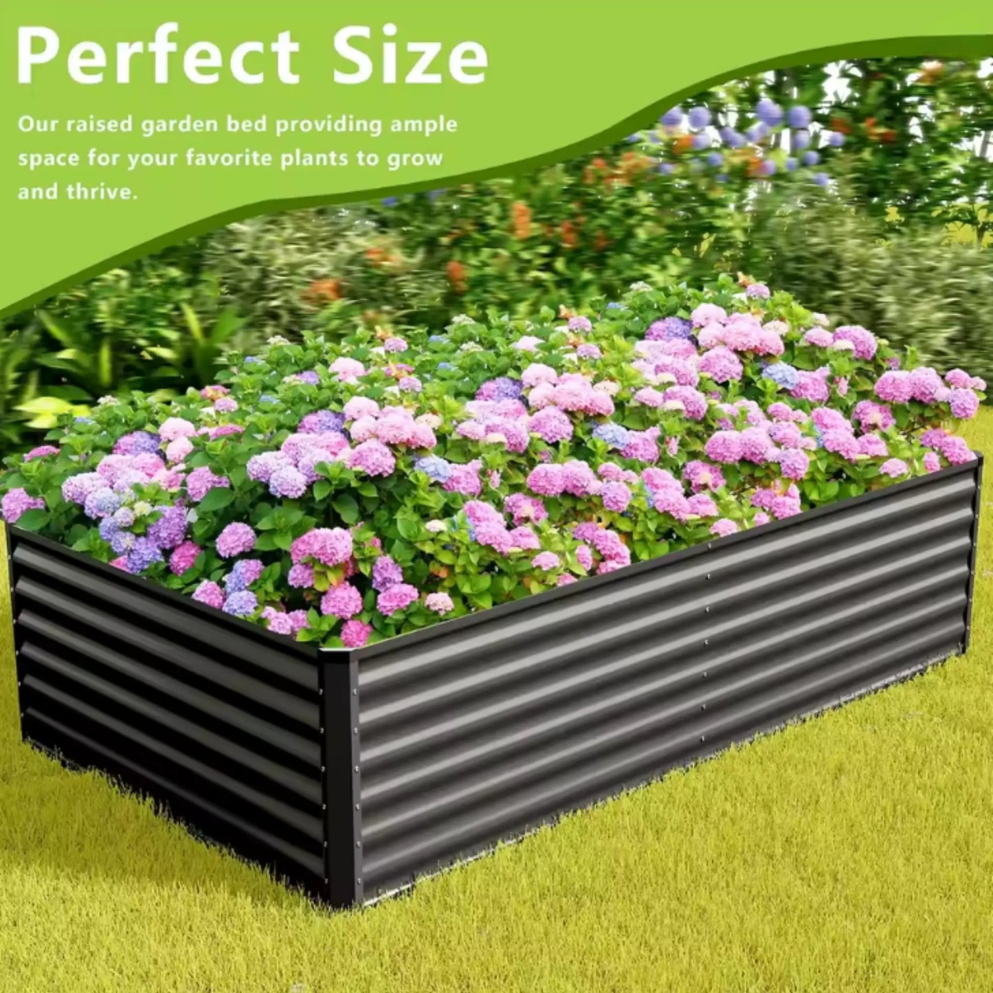 DEXALT Backyard Harvest™ Raised Garden Bed – Grow Fresh Vegetables At Home