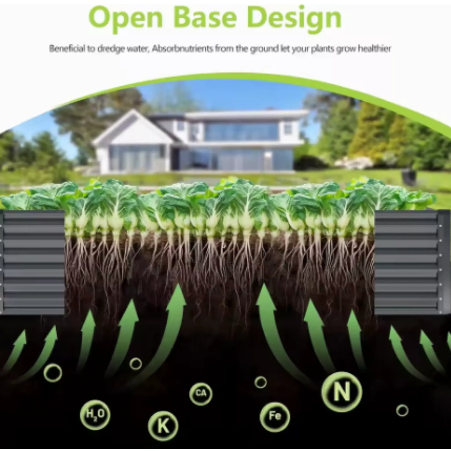 DEXALT Backyard Harvest™ Raised Garden Bed – Grow Fresh Vegetables At Home