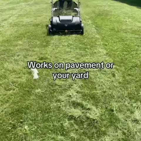 Dexalt Push Lawn Sweeper, 21-inch Leaf & Grass Collector, Strong Rubber Wheels & Heavy Duty Thickened Steel Durable To Use With Large Capacity 3.5 Cu. Ft. Mesh Collection Hopper Bag, 2 Spinning Brushes